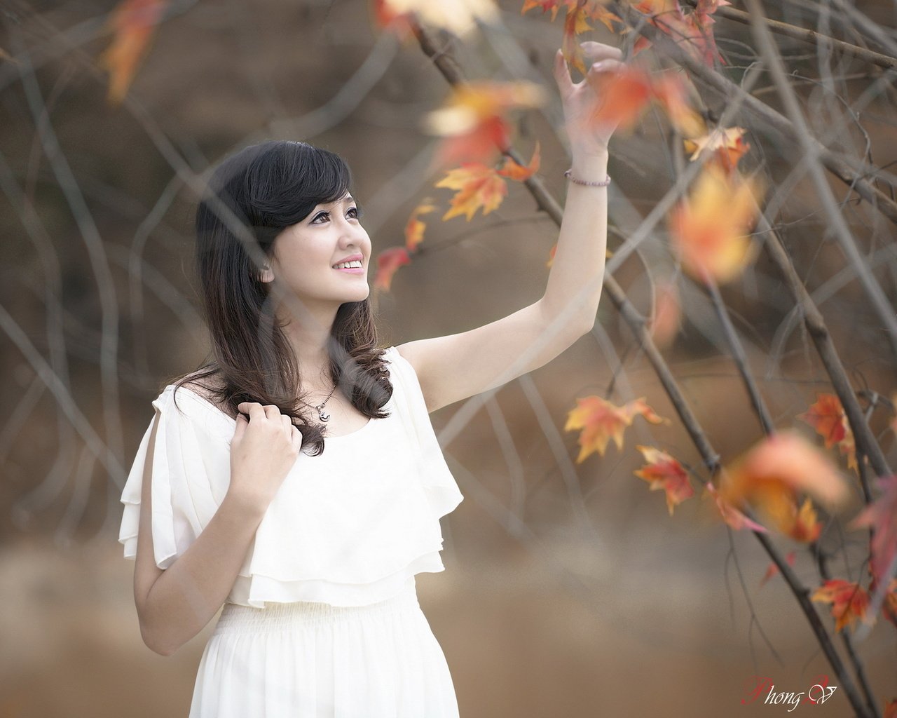 Обои природа, листья, девушка, осень, азиатка, nature, leaves, girl, autumn, asian разрешение 1920x1200 Загрузить