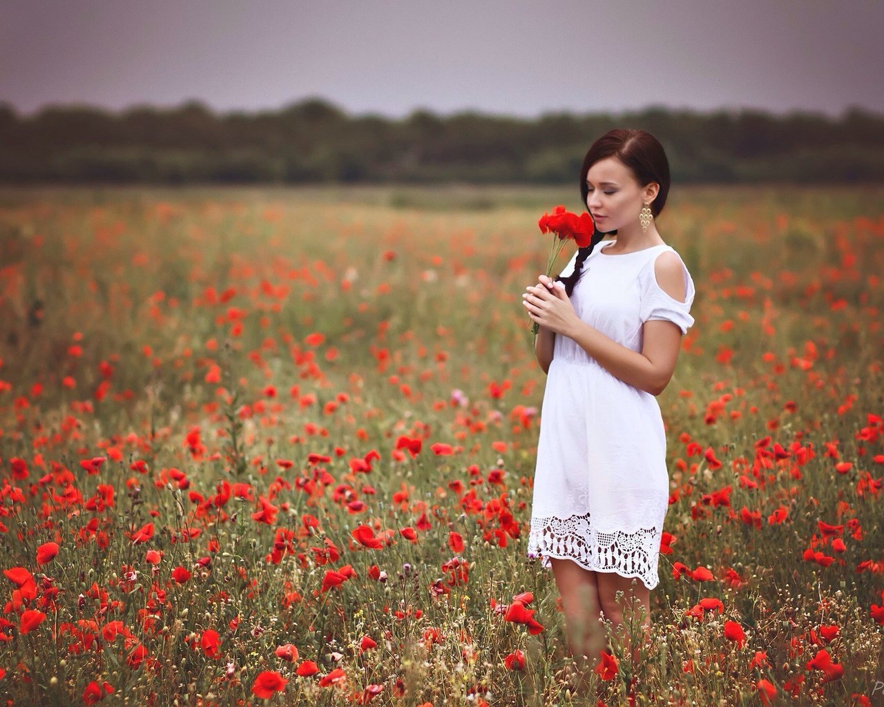 Обои девушка, платье, поле, красные, маки, руки, белое платье, girl, dress, field, red, maki, hands, white dress разрешение 2048x1364 Загрузить