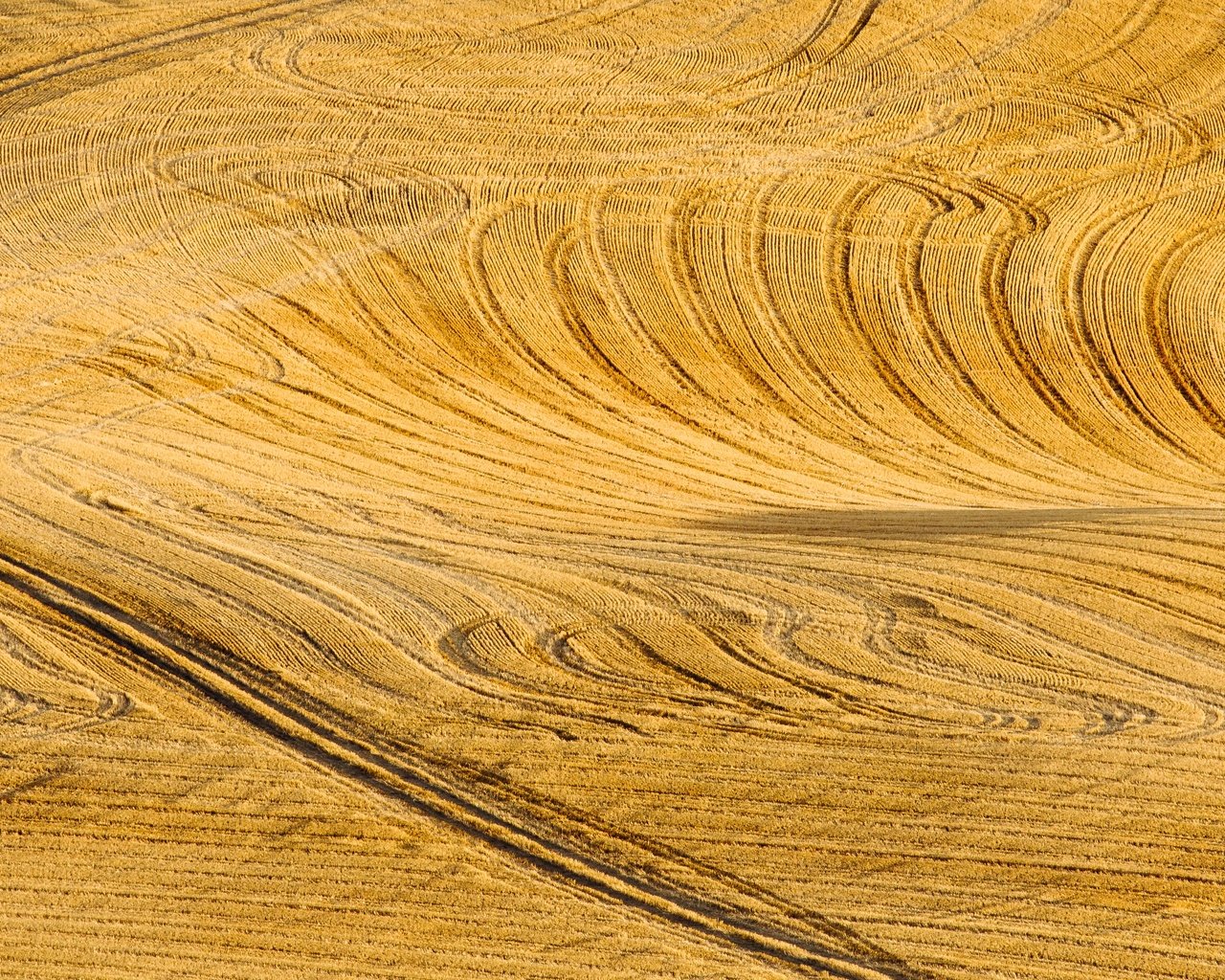 Обои дорога, пейзаж, поле, road, landscape, field разрешение 5459x2730 Загрузить