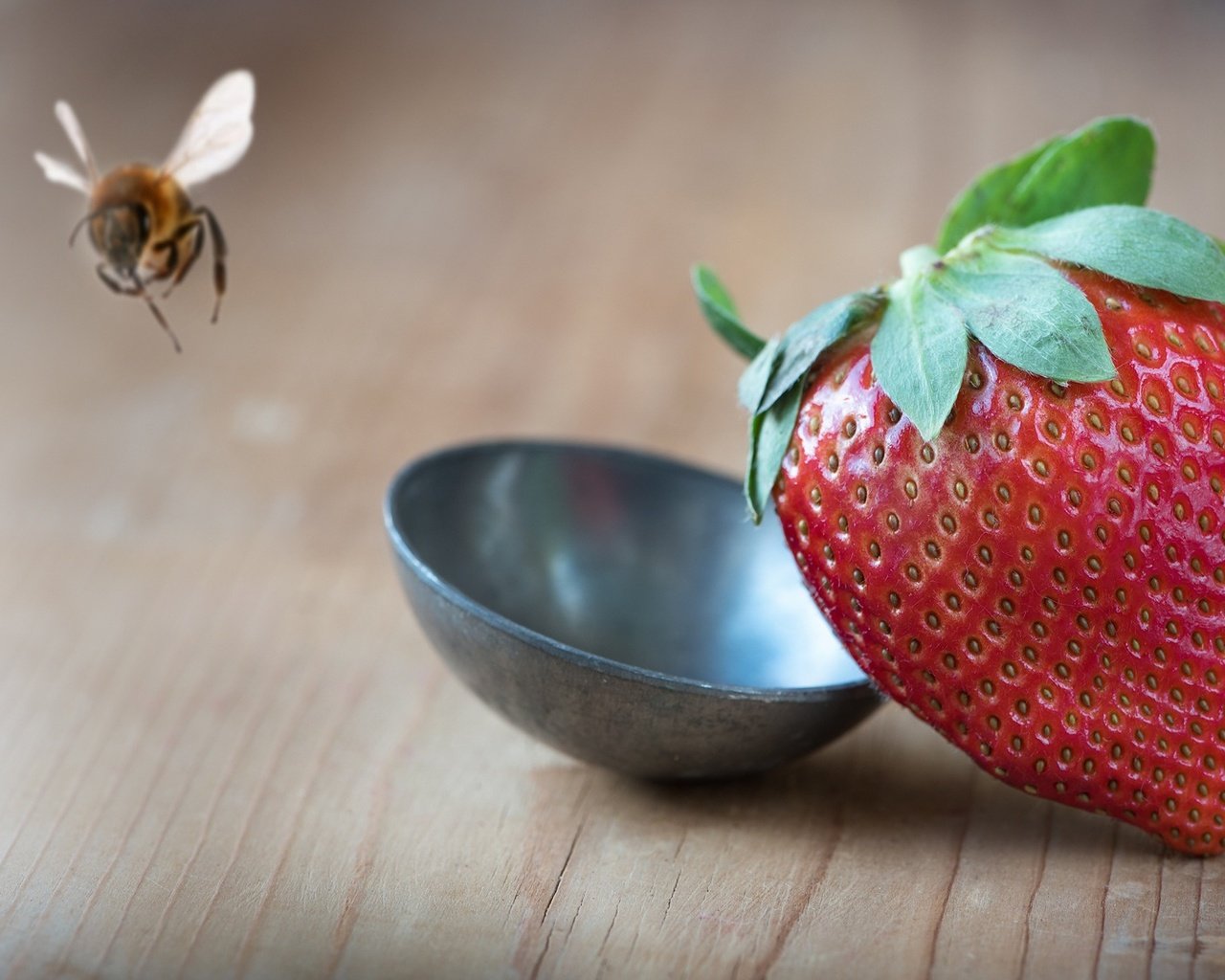 Обои макро, насекомое, фон, клубника, стол, ягоды, пчела, половник, macro, insect, background, strawberry, table, berries, bee, ladle разрешение 2000x1125 Загрузить