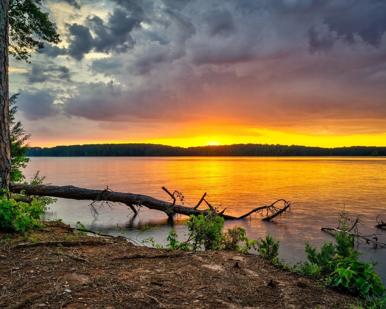 Обои небо, west point lake, деревья, река, лес, тучи, рассвет, сша, грузия, the sky, trees, river, forest, clouds, dawn, usa, georgia разрешение 1920x1200 Загрузить