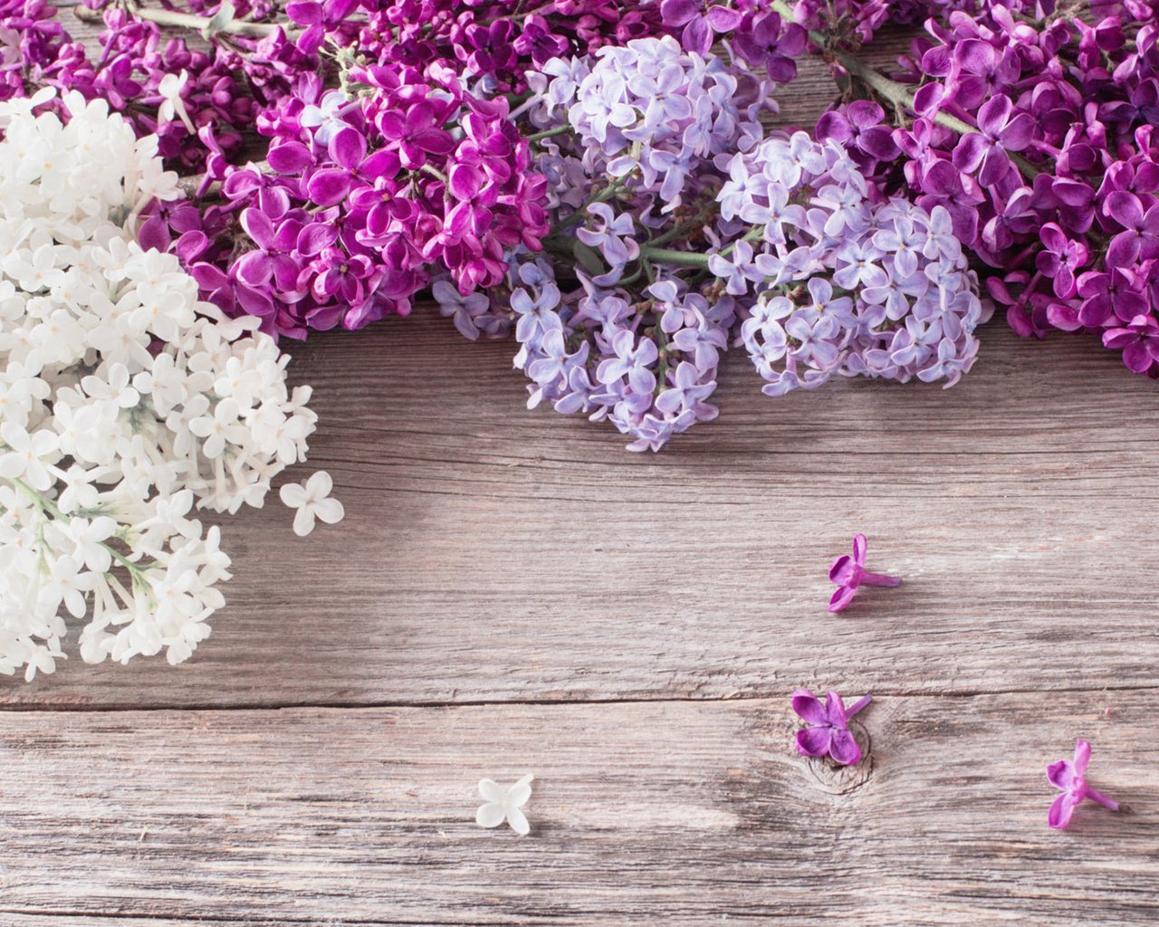 Обои цветы, весна, сирень, деревянная поверхность, flowers, spring, lilac, wooden surface разрешение 1920x1200 Загрузить