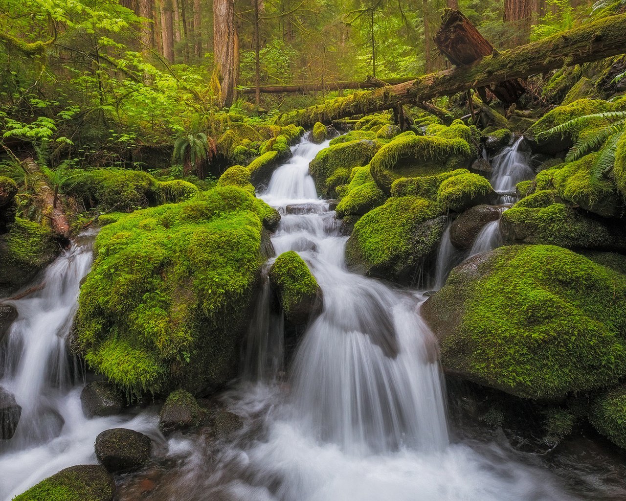 Обои река, природа, камни, водопад, мох, river, nature, stones, waterfall, moss разрешение 1920x1200 Загрузить