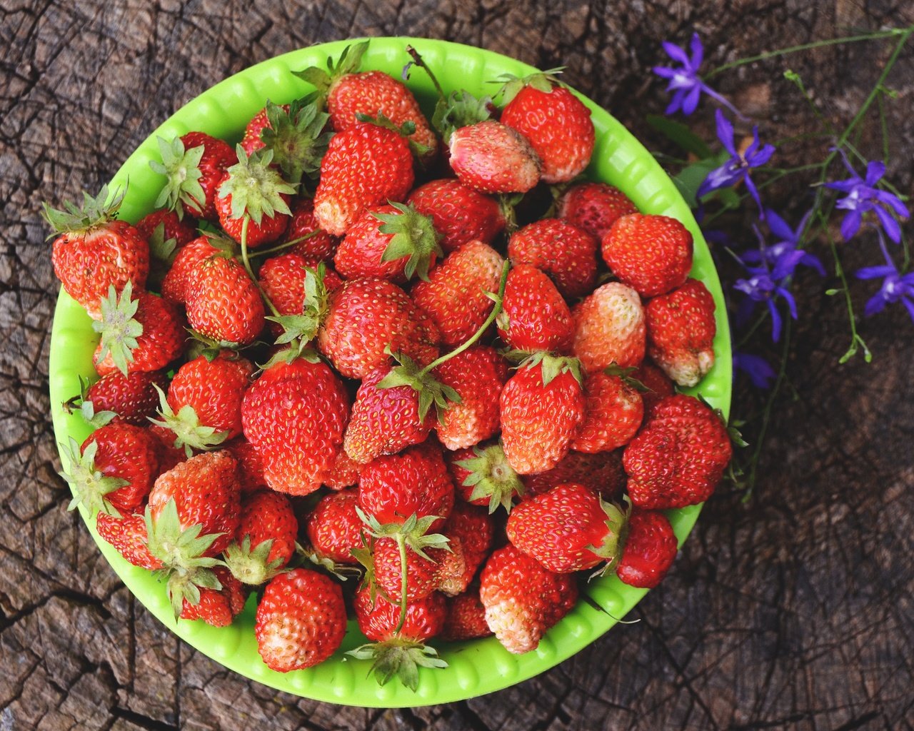 Обои цветок, лето, клубника, ягоды, пень, миска, flower, summer, strawberry, berries, stump, bowl разрешение 4608x3072 Загрузить