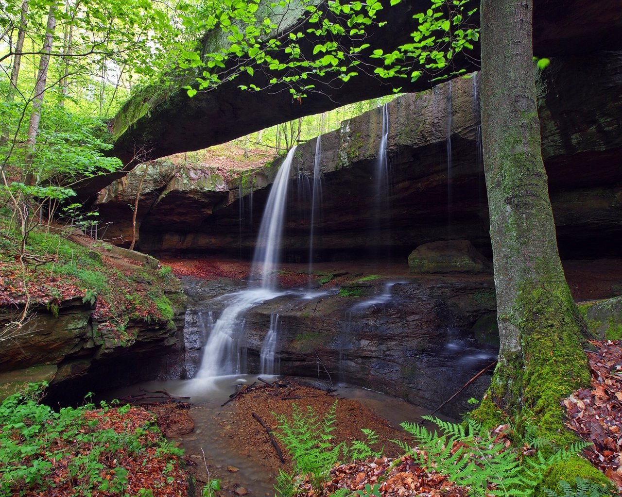 Обои деревья, скалы, водопад, поток, огайо, сша, trees, rocks, waterfall, stream, ohio, usa разрешение 2048x1419 Загрузить