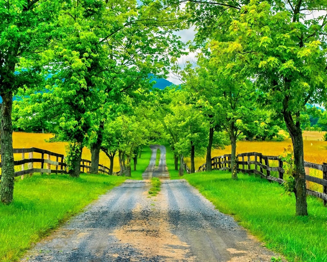 Обои дорога, деревья, горы, зелень, забор, весна, road, trees, mountains, greens, the fence, spring разрешение 3064x2029 Загрузить