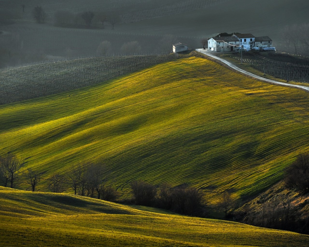 Обои дорога, деревья, холмы, поле, дом, riccardo pesaresi, road, trees, hills, field, house разрешение 2560x1702 Загрузить