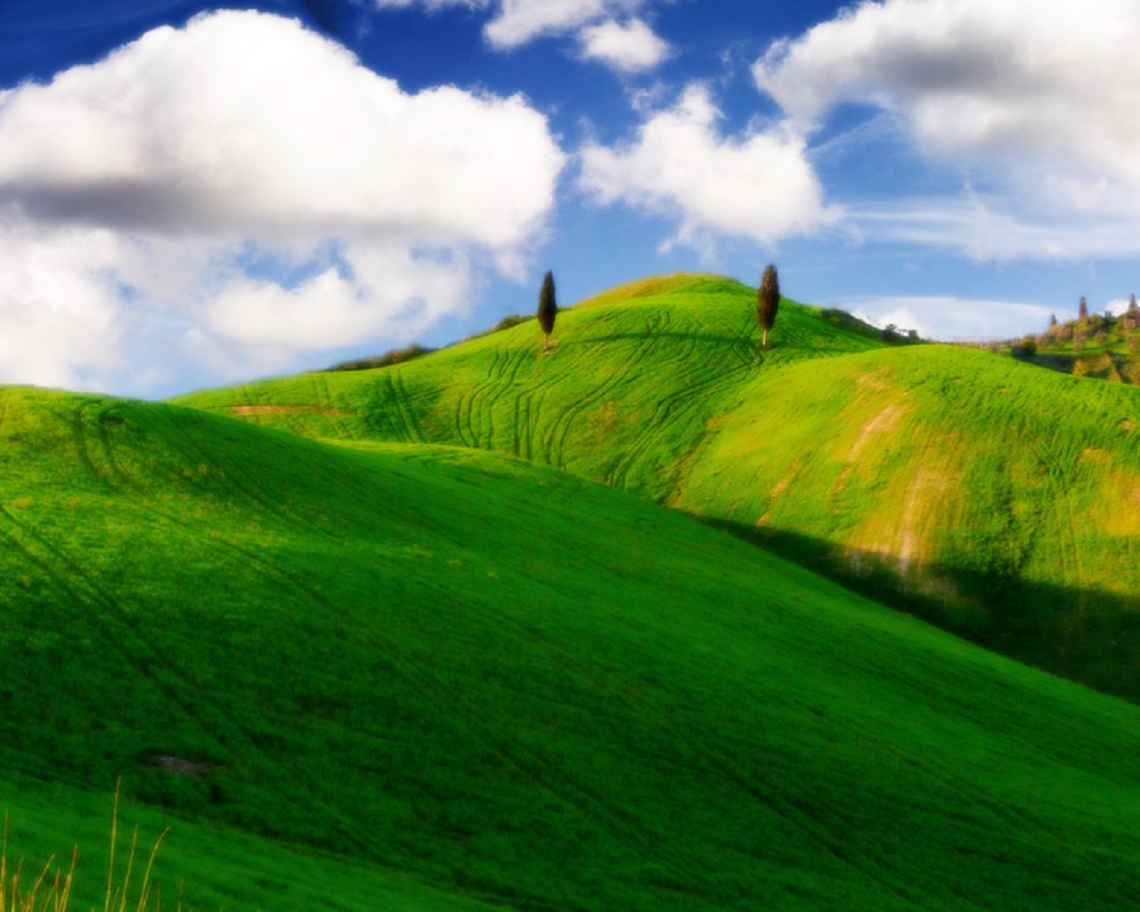 Обои небо, облака, деревья, холмы, зелёные холмы, голубое небо, the sky, clouds, trees, hills, green hills, blue sky разрешение 1920x1080 Загрузить