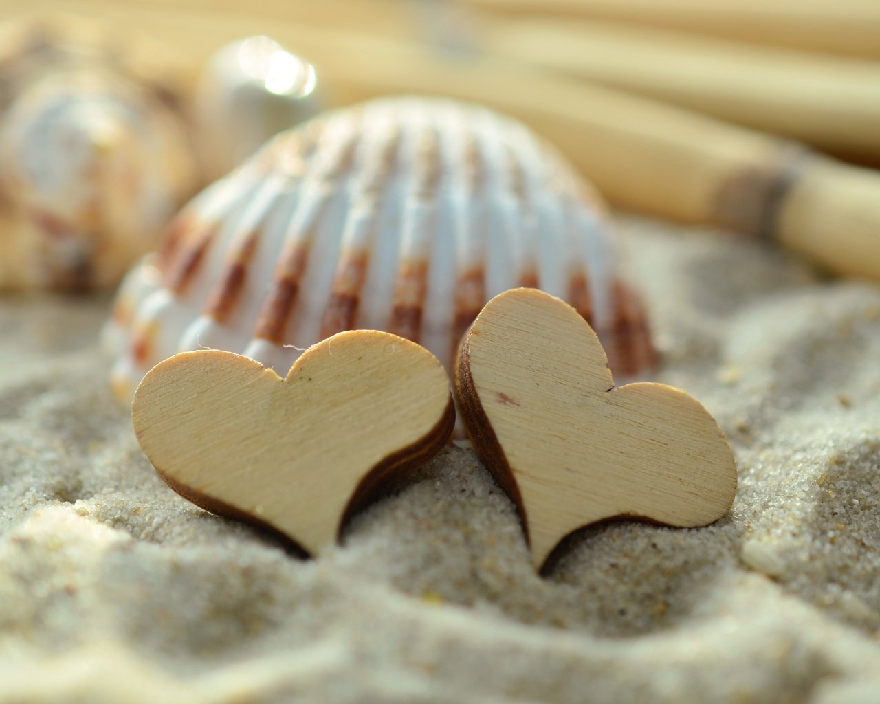 Обои песок, сердце, сердечки, ракушка, sand, heart, hearts, shell разрешение 4928x3264 Загрузить