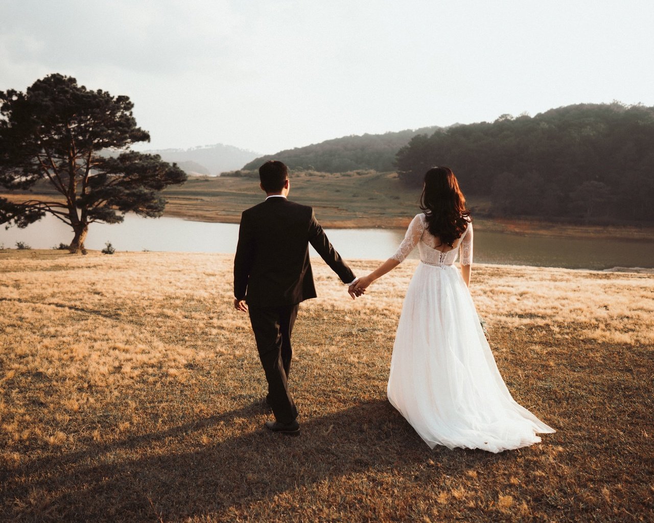 Обои природа, дерево, костюм, жених, свадьба, белое платье, невеста, nature, tree, costume, the groom, wedding, white dress, the bride разрешение 2048x1366 Загрузить