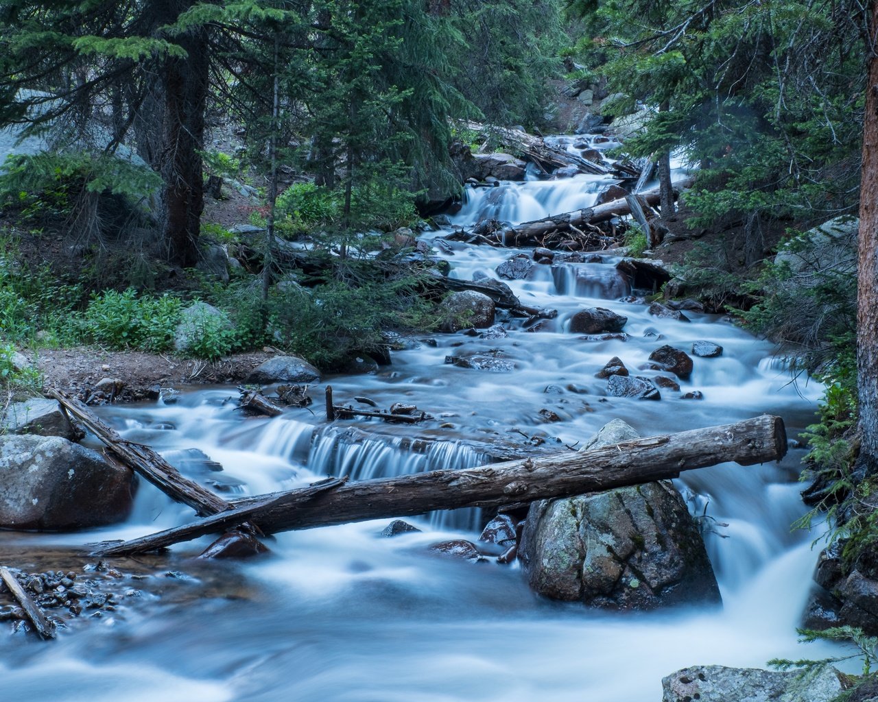 Обои деревья, река, лес, колорадо, каскад, trees, river, forest, colorado, cascade разрешение 5518x3679 Загрузить