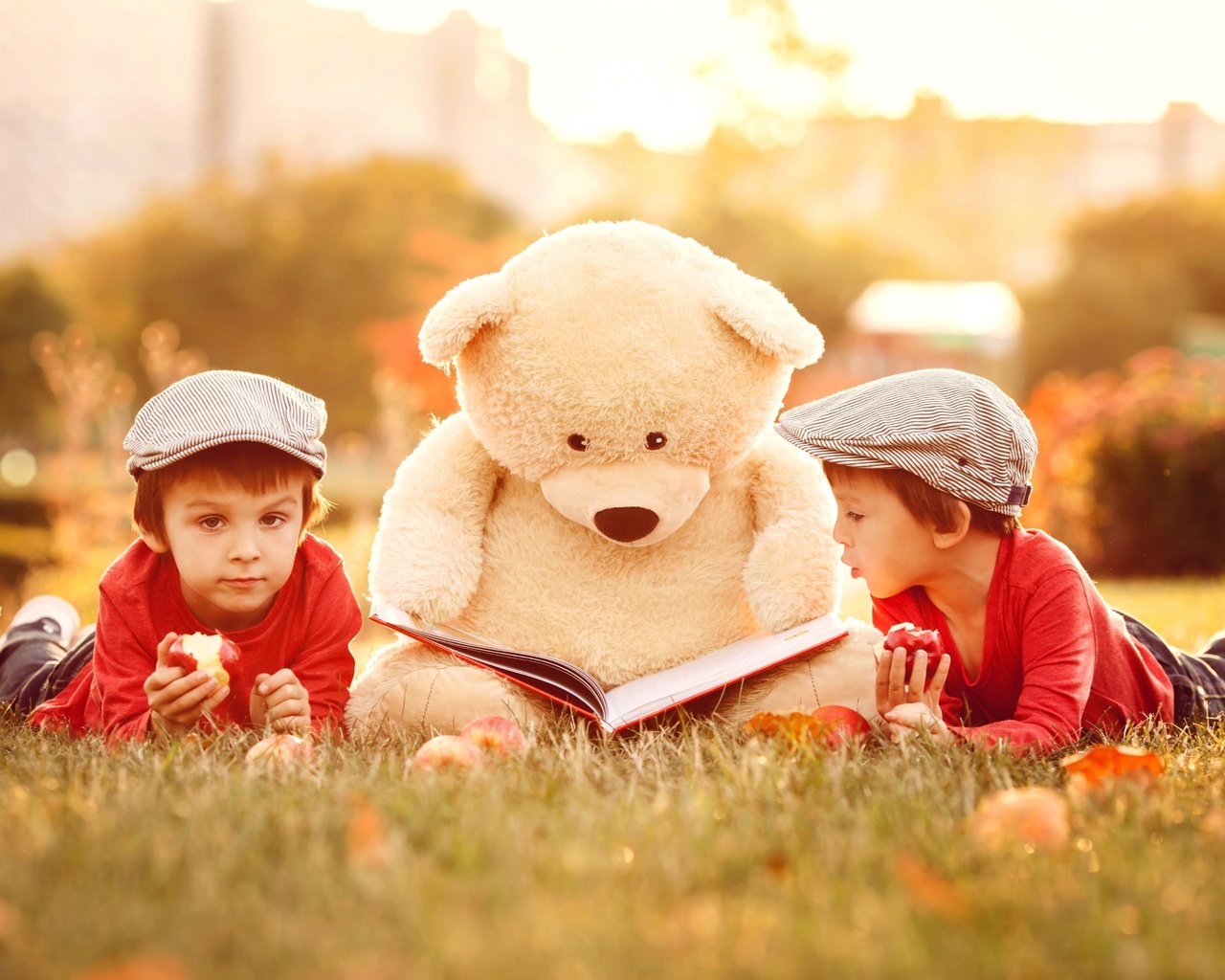 Обои трава, природа, медведь, дети, игрушка, книга, мальчики, grass, nature, bear, children, toy, book, boys разрешение 6000x4000 Загрузить