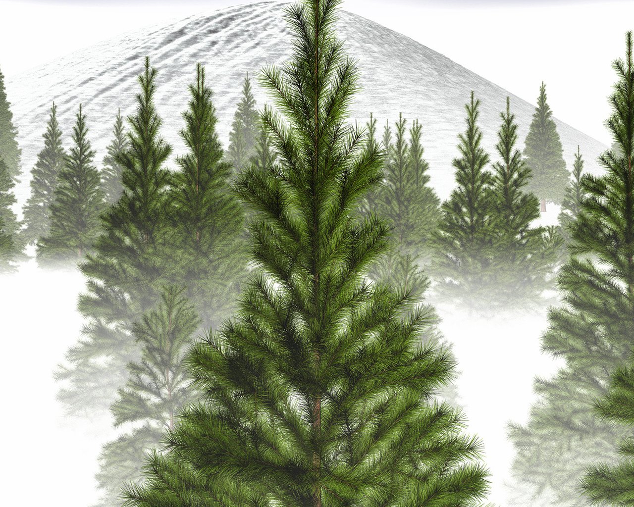 Обои деревья, снег, зима, туман, ветви, гора, ель, trees, snow, winter, fog, branch, mountain, spruce разрешение 1920x1080 Загрузить