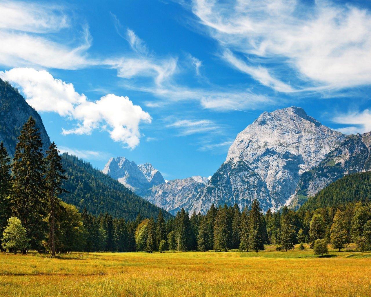 Обои небо, трава, облака, деревья, горы, поле, баварские альпы, the sky, grass, clouds, trees, mountains, field, the bavarian alps разрешение 4100x2733 Загрузить