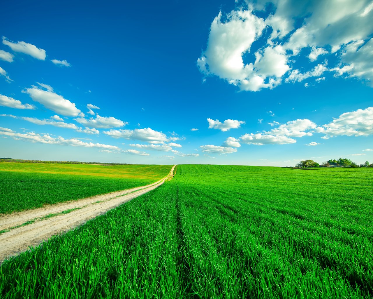 Обои небо, дорога, трава, облака, поле, горизонт, the sky, road, grass, clouds, field, horizon разрешение 4500x3000 Загрузить