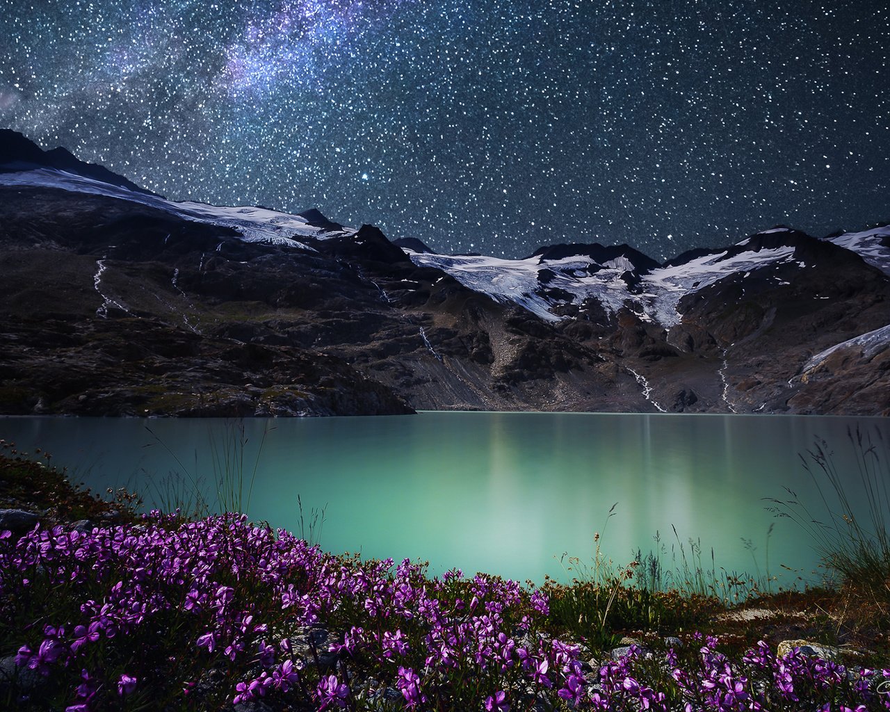 Обои цветы, ночь, озеро, горы, природа, звезды, simone cmoon, flowers, night, lake, mountains, nature, stars разрешение 1920x1200 Загрузить