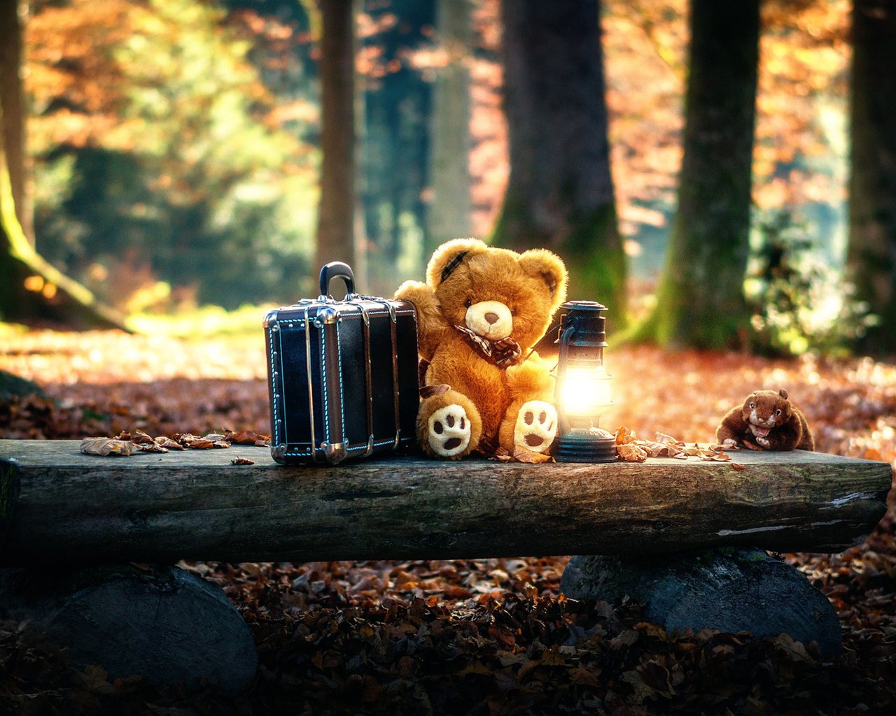 Обои лес, мишка, игрушка, фонарь, чемодан, forest, bear, toy, lantern, suitcase разрешение 1920x1200 Загрузить