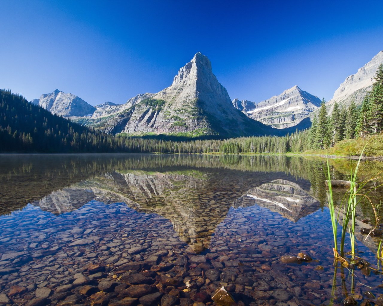 Обои небо, деревья, озеро, горы, камни, лес, монтана, the sky, trees, lake, mountains, stones, forest, montana разрешение 2560x1600 Загрузить