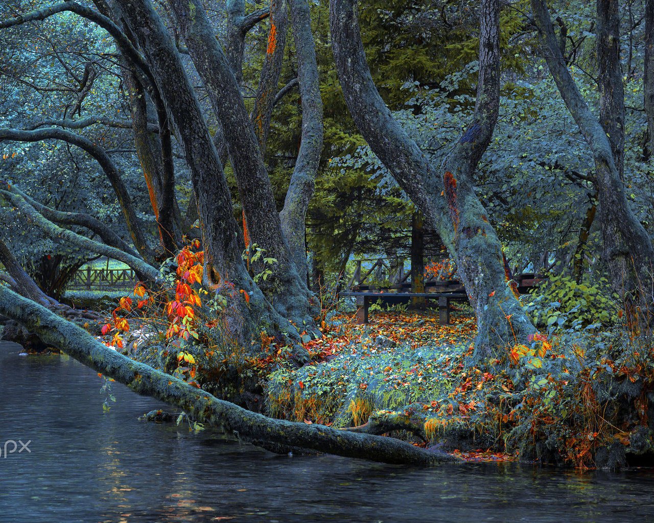 Обои деревья, река, природа, парк, стволы, забор, скамейка, mevludin sejmenovic, trees, river, nature, park, trunks, the fence, bench разрешение 2000x1218 Загрузить