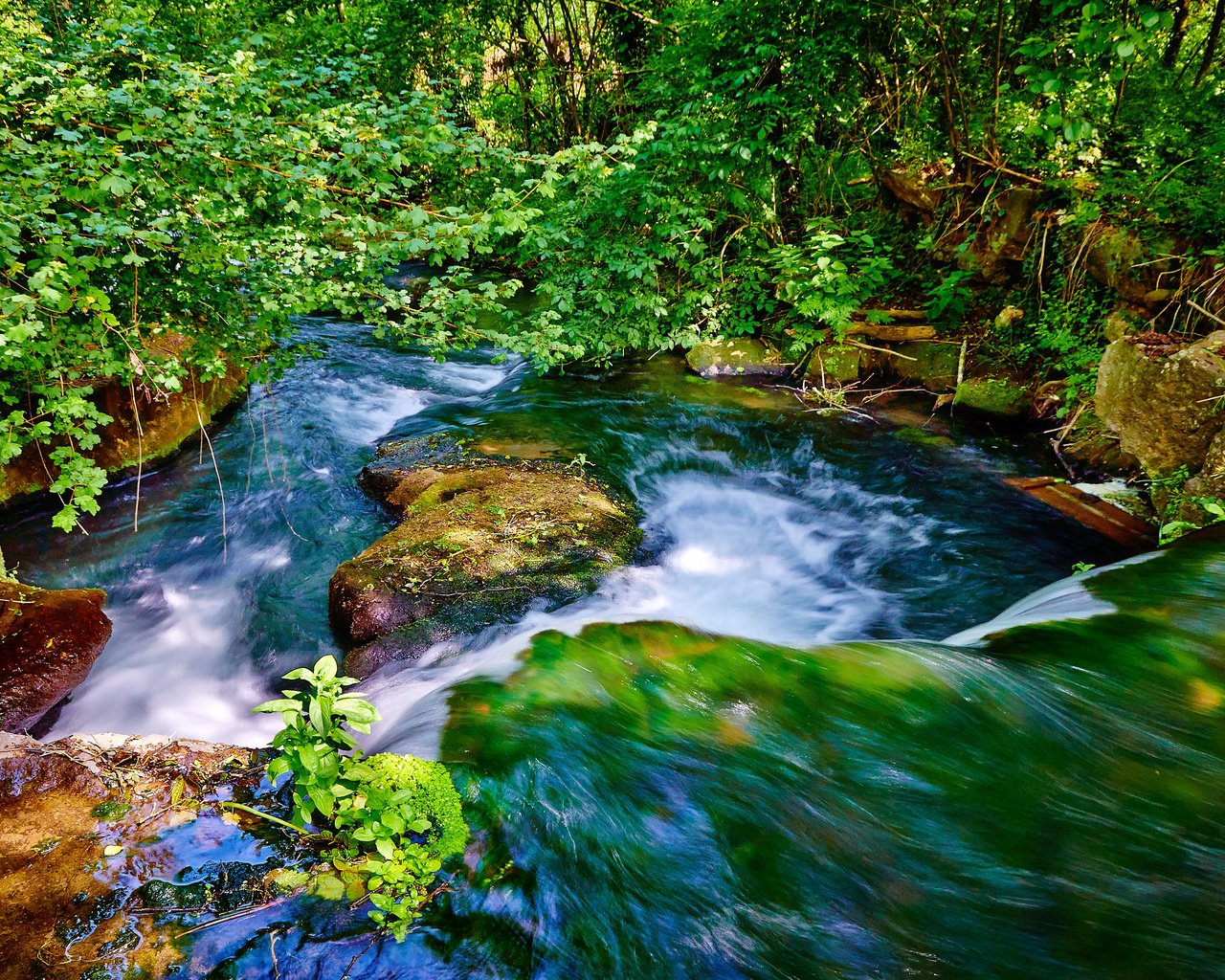 Обои вода, река, природа, камни, листья, ветки, водопад, поток, water, river, nature, stones, leaves, branches, waterfall, stream разрешение 3840x2343 Загрузить