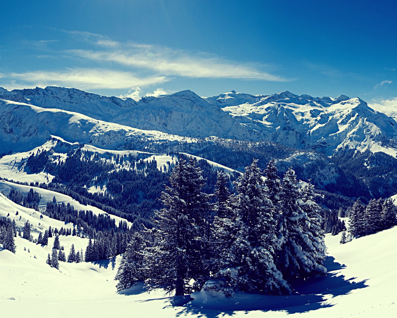 Обои небо, деревья, горы, снег, лес, зима, снежные вершины, the sky, trees, mountains, snow, forest, winter, snowy peaks разрешение 3571x2678 Загрузить