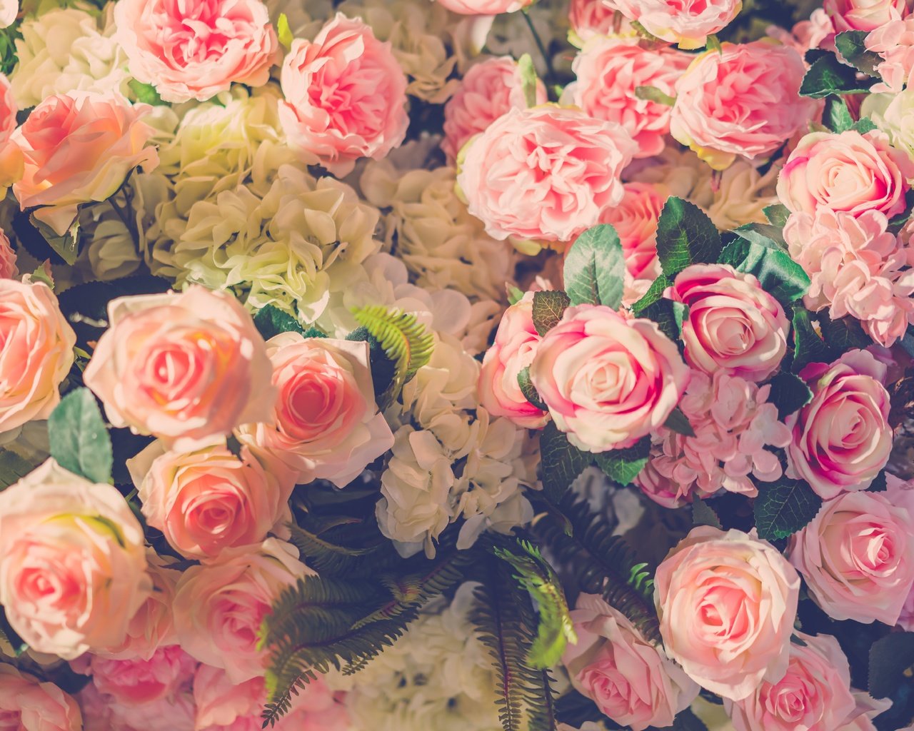 Обои цветы, бутоны, розы, лепестки, букет, flowers, buds, roses, petals, bouquet разрешение 7952x5304 Загрузить