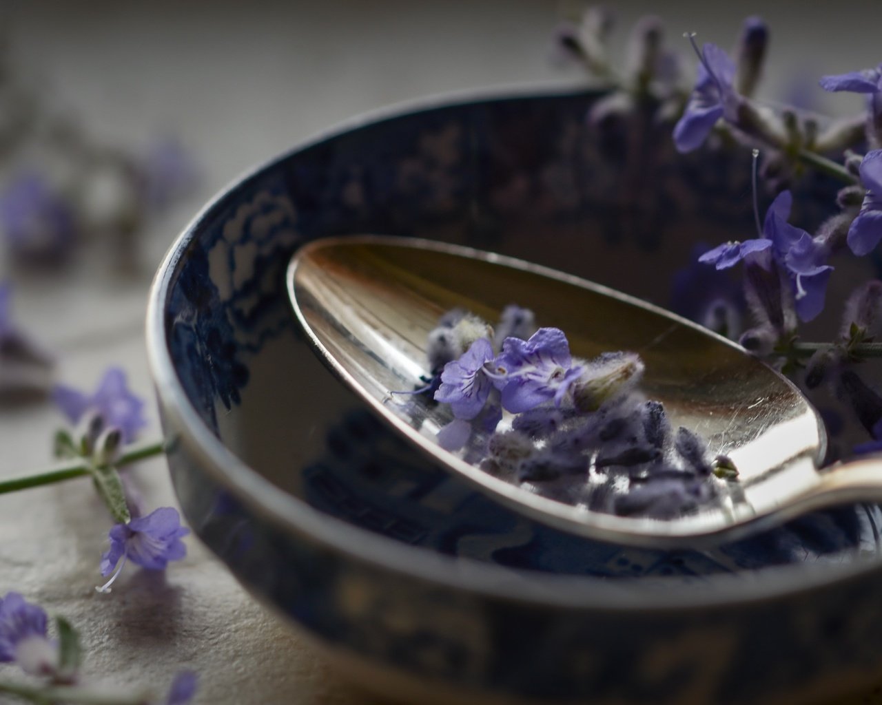 Обои цветы, макро, лаванда, ложка, flowers, macro, lavender, spoon разрешение 2560x1707 Загрузить