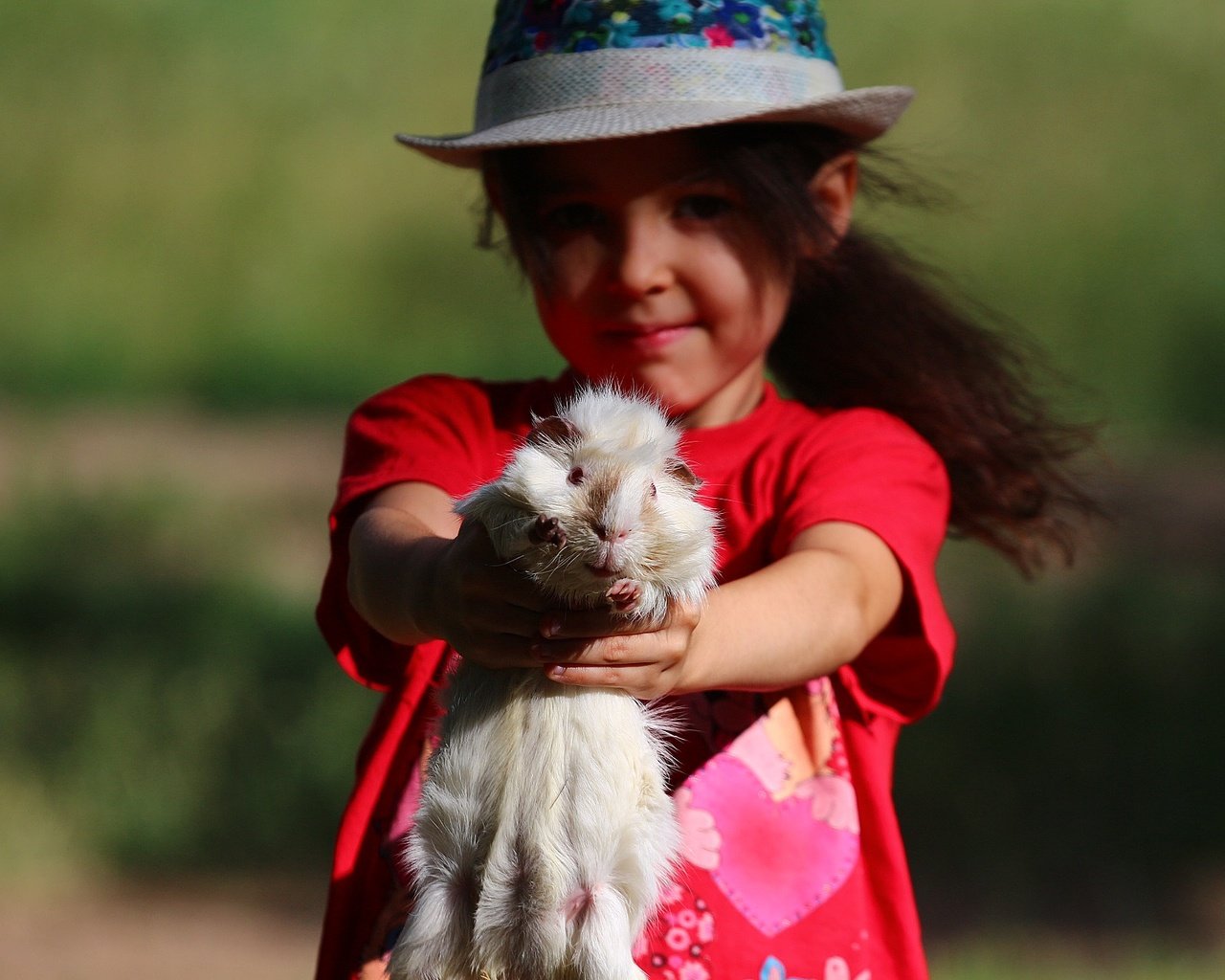 Обои взгляд, девочка, ребенок, животное, шляпа, морская свинка, look, girl, child, animal, hat, guinea pig разрешение 1920x1280 Загрузить