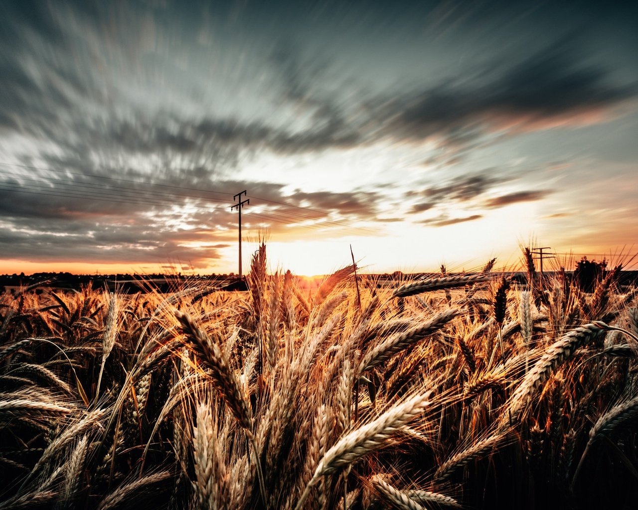 Обои небо, облака, утро, поле, колосья, пшеница, the sky, clouds, morning, field, ears, wheat разрешение 2048x1257 Загрузить