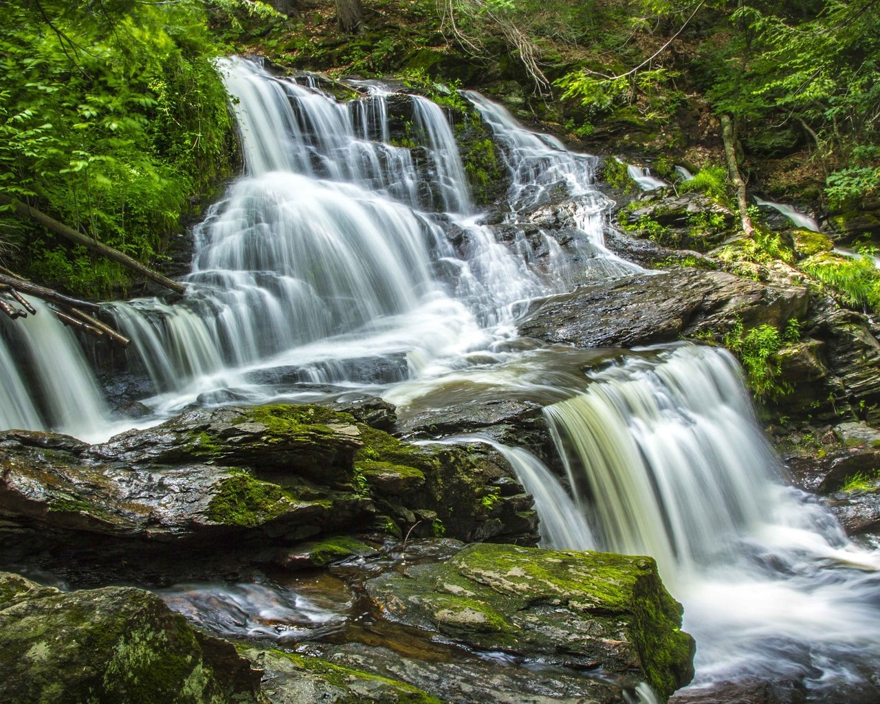 Обои вода, камни, лес, водопад, поток, water, stones, forest, waterfall, stream разрешение 3600x2400 Загрузить