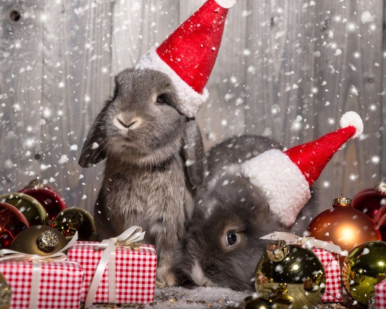Обои новый год, животные, подарки, шарики, кролики, рождество, зайцы, колпаки, new year, animals, gifts, balls, rabbits, christmas, caps разрешение 1920x1200 Загрузить