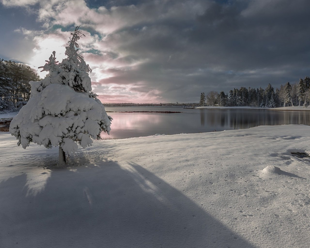 Обои небо, ель, облака, деревья, озеро, снег, природа, лес, зима, the sky, spruce, clouds, trees, lake, snow, nature, forest, winter разрешение 1920x1200 Загрузить