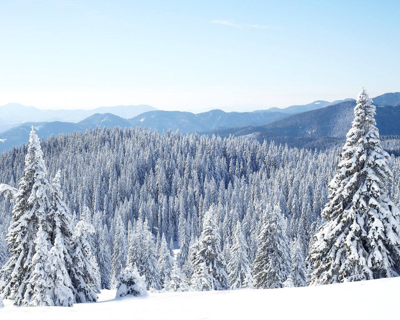 Обои горы, природа, лес, зима, пейзаж, katerina myan, mountains, nature, forest, winter, landscape разрешение 1920x1200 Загрузить