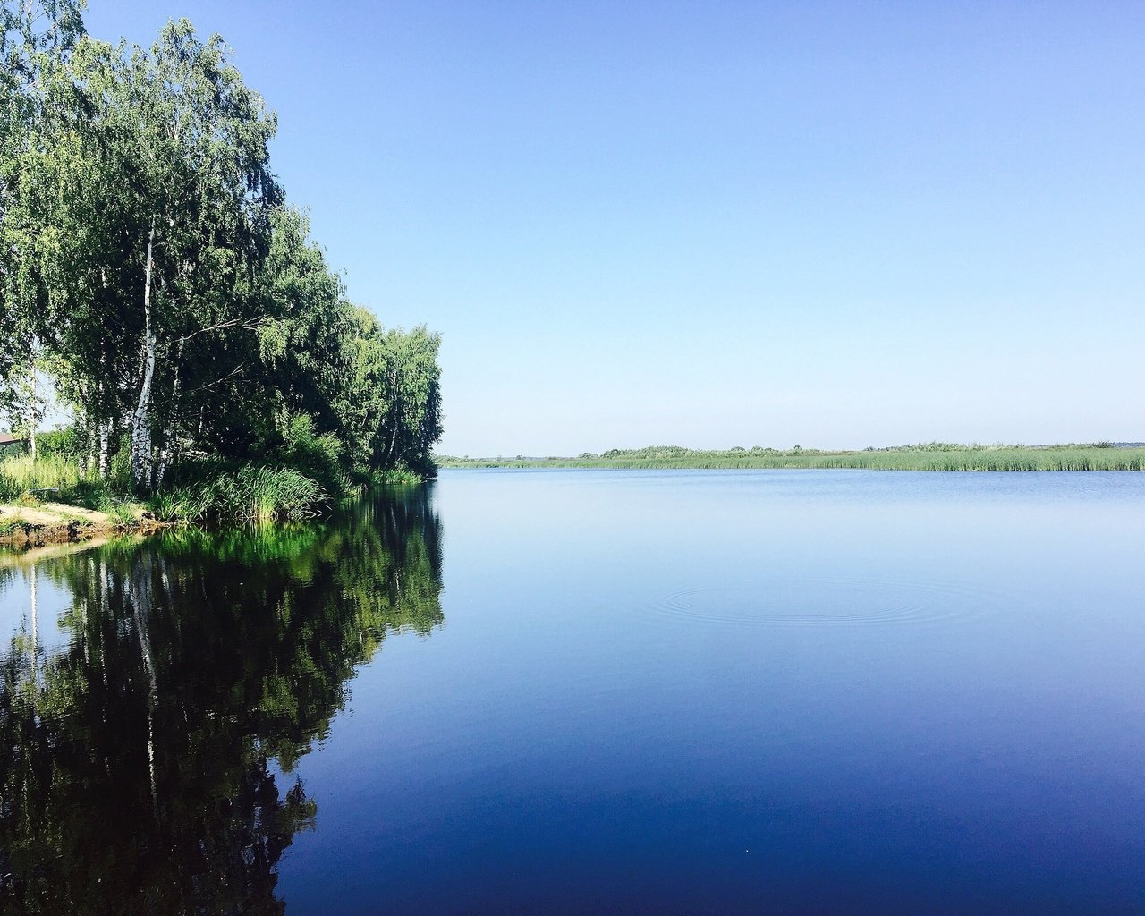 Обои небо, деревья, река, природа, отражение, березы, aristovart, the sky, trees, river, nature, reflection, birch разрешение 3264x2448 Загрузить