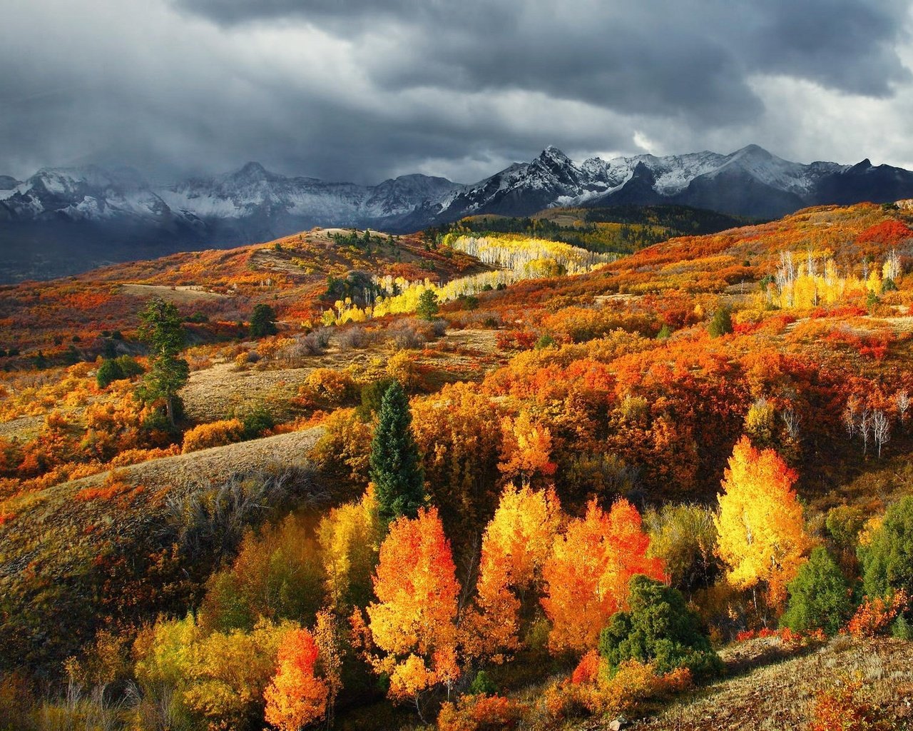 Обои деревья, горы, лес, листья, осень, сша, колорадо, trees, mountains, forest, leaves, autumn, usa, colorado разрешение 1920x1200 Загрузить