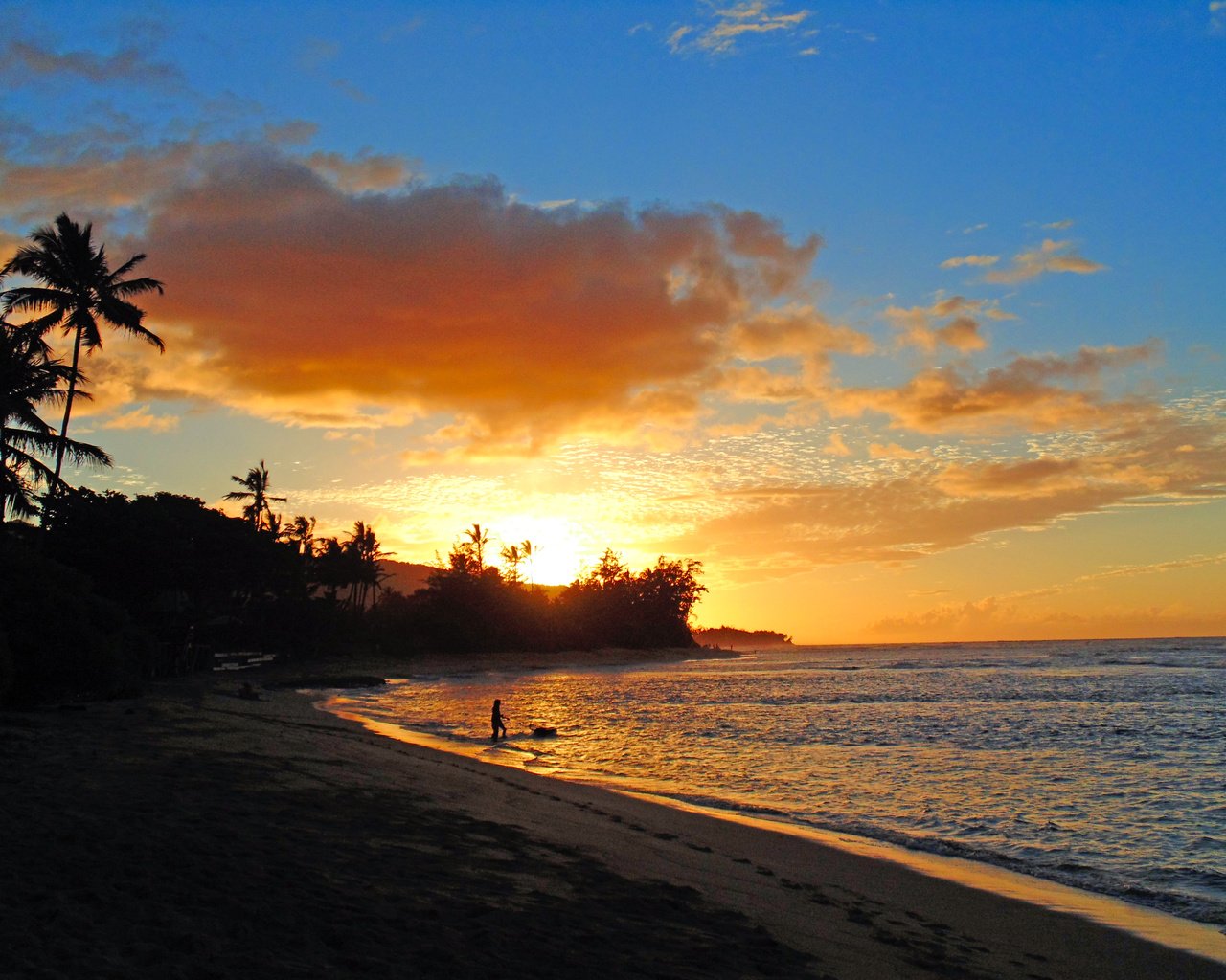 Обои закат, море, пляж, тропики, 5, sunset, sea, beach, tropics разрешение 5184x3888 Загрузить