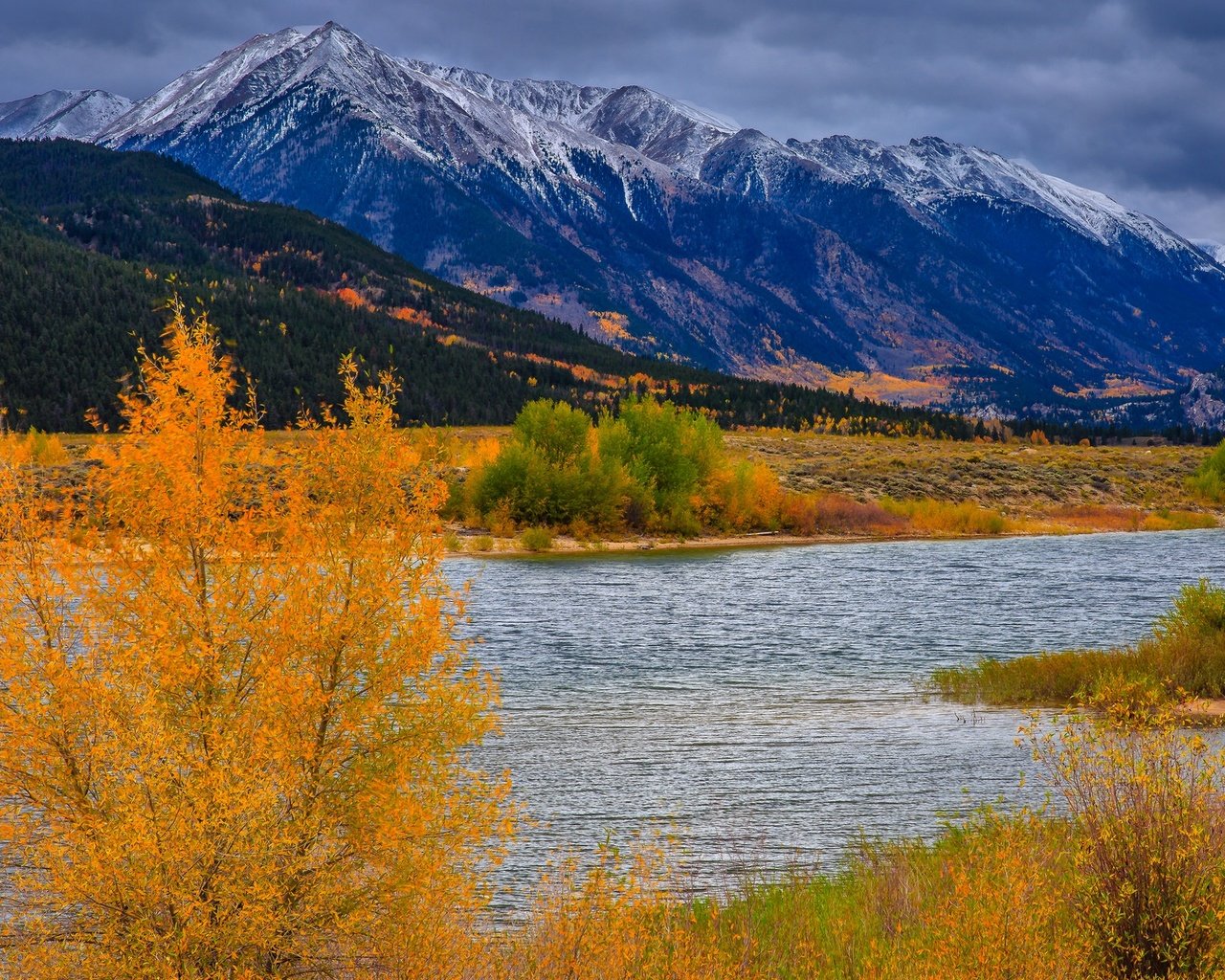 Обои деревья, река, горы, осень, сша, колорадо, аспен, trees, river, mountains, autumn, usa, colorado, aspen разрешение 1920x1360 Загрузить