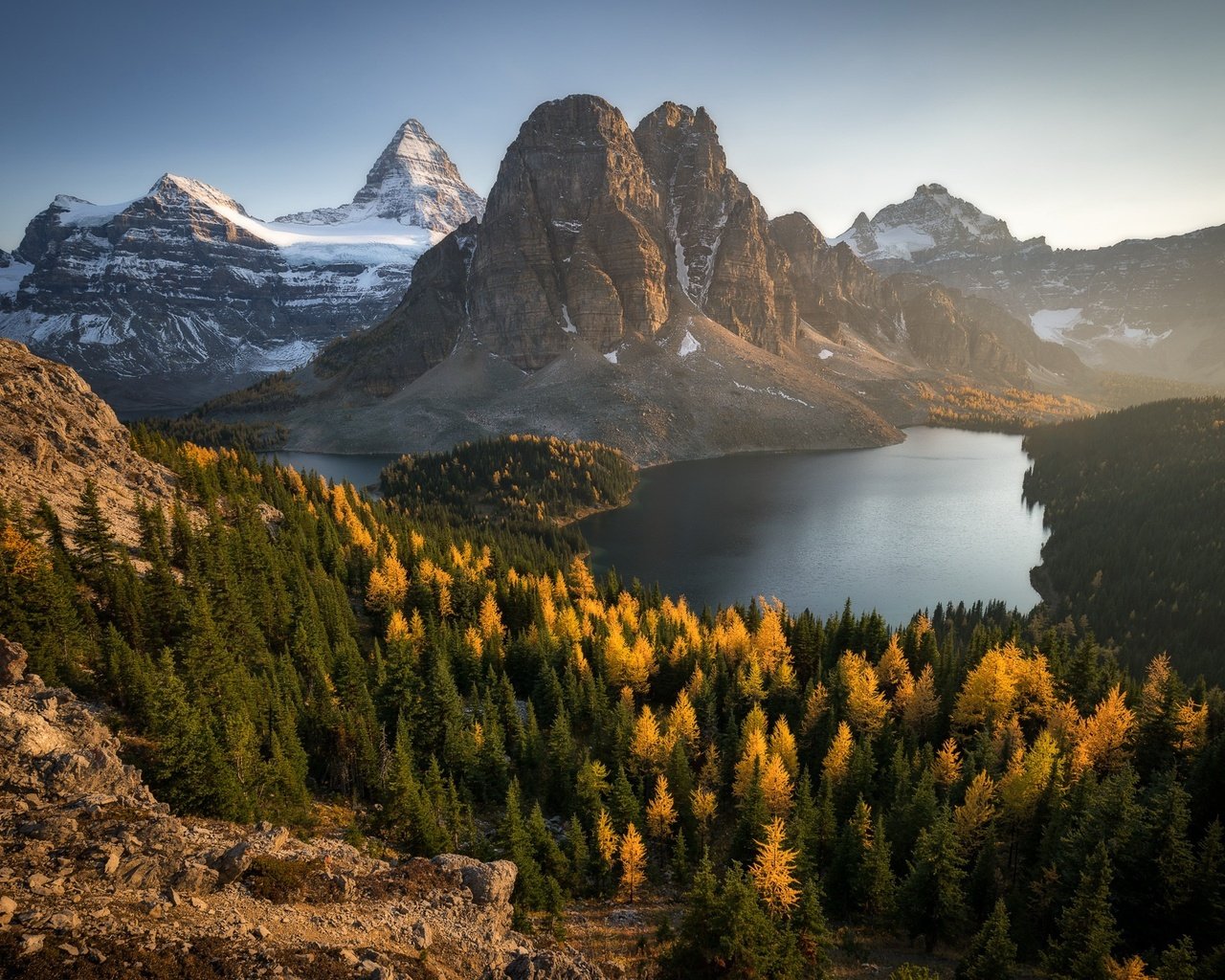 Обои цветы, озеро, горы, природа, пейзаж, канада, гора ассинибойн, flowers, lake, mountains, nature, landscape, canada, mount assiniboine разрешение 2048x1300 Загрузить