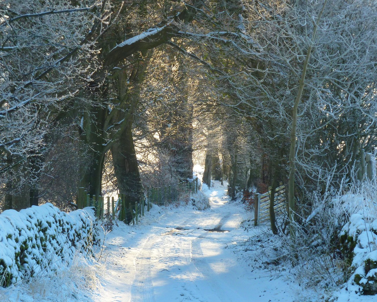 Обои дорога, снег, природа, лес, зима, иней, road, snow, nature, forest, winter, frost разрешение 2880x1800 Загрузить