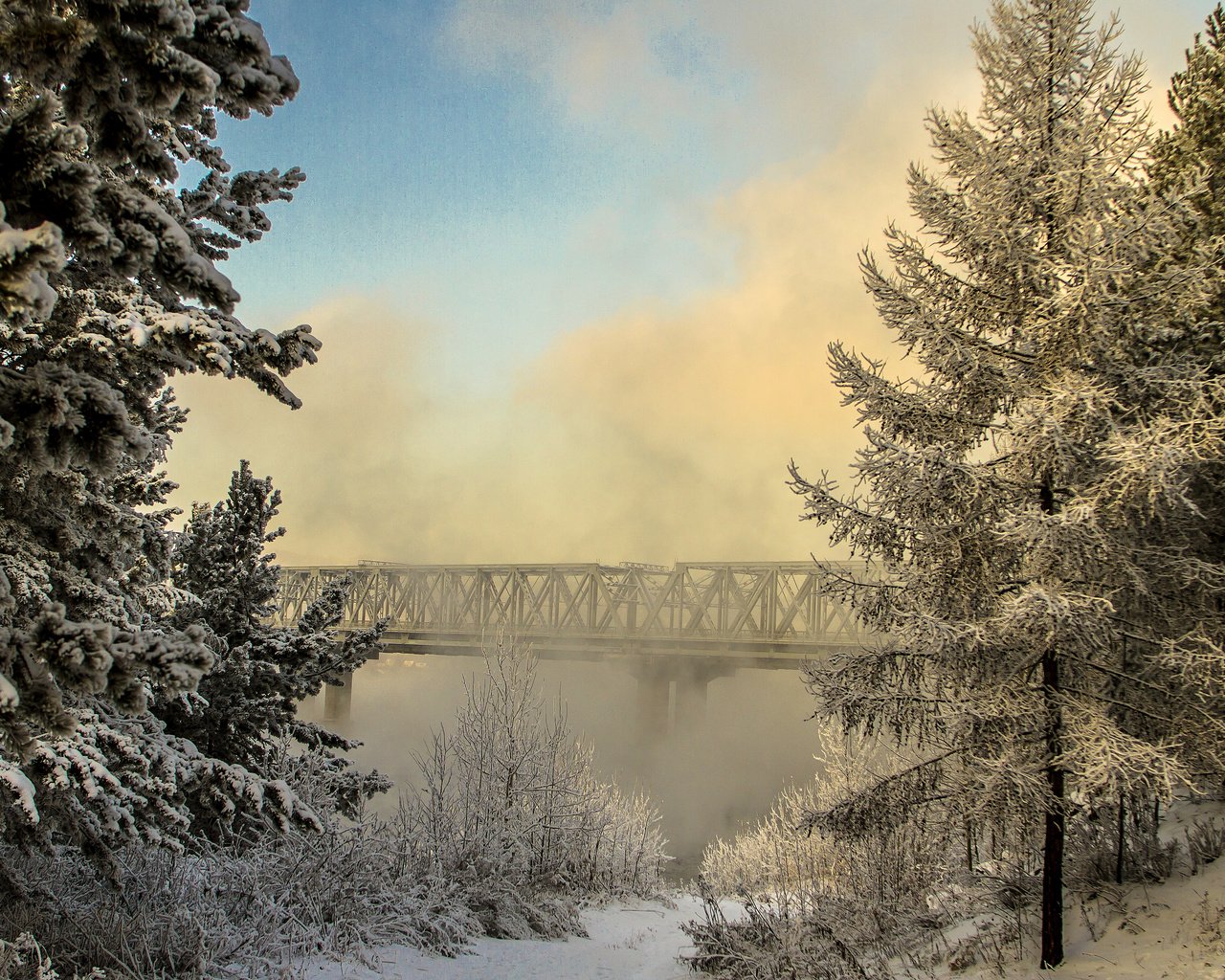 Обои деревья, valery chernodedov, ангара, река, природа, лес, зима, туман, мост, россия, trees, hangar, river, nature, forest, winter, fog, bridge, russia разрешение 3840x2400 Загрузить