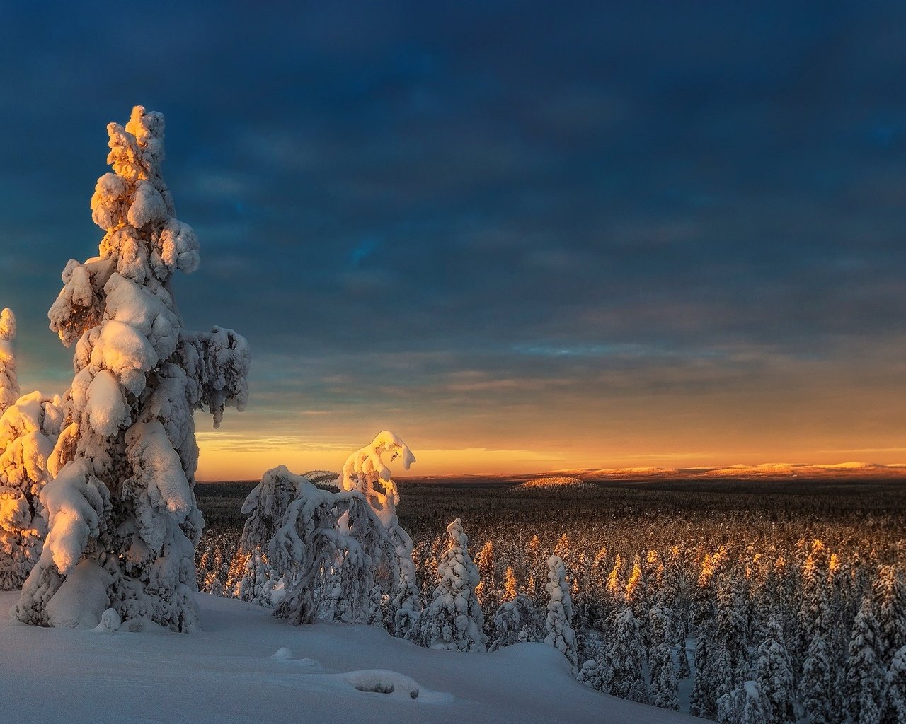 Обои небо, деревья, снег, природа, лес, закат, зима, the sky, trees, snow, nature, forest, sunset, winter разрешение 1920x1200 Загрузить