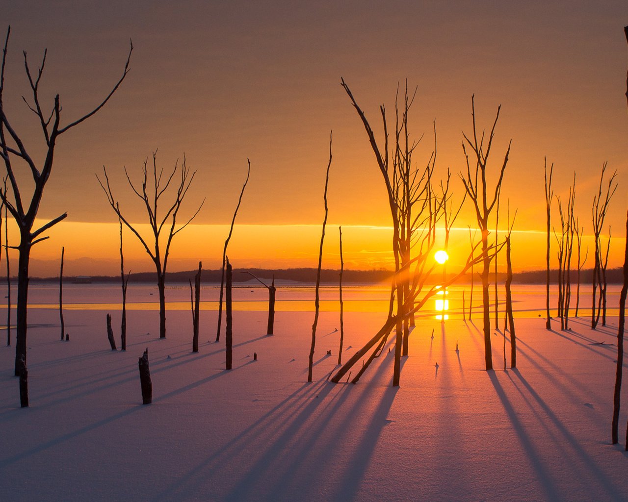 Обои деревья, солнце, снег, закат, зима, пейзаж, trees, the sun, snow, sunset, winter, landscape разрешение 1920x1200 Загрузить