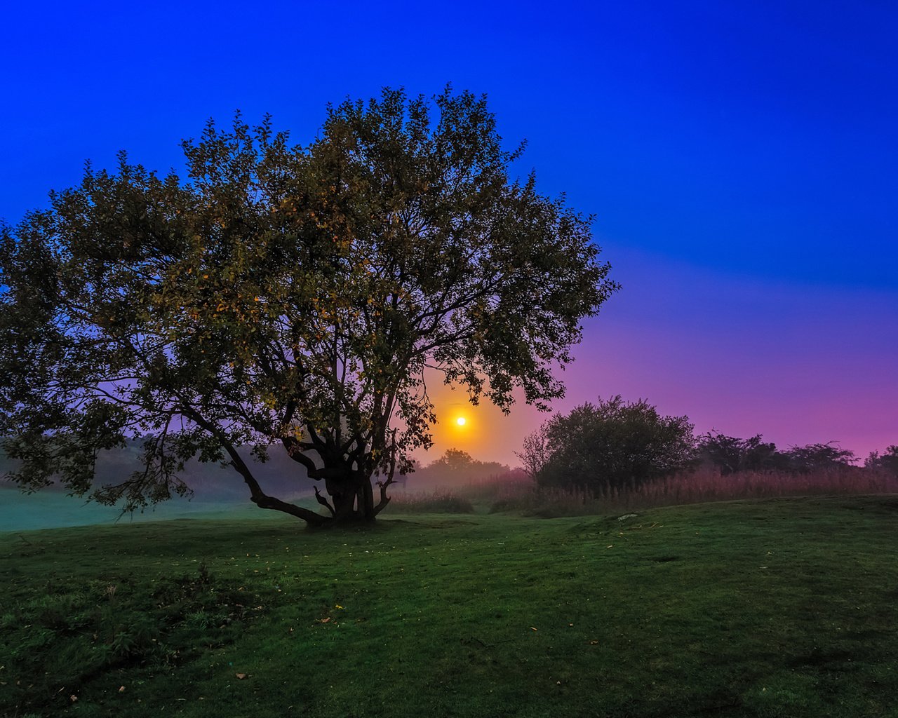 Обои вечер, природа, дерево, закат, пейзаж, сумерки, a w mcmahon, the evening, nature, tree, sunset, landscape, twilight разрешение 1920x1200 Загрузить