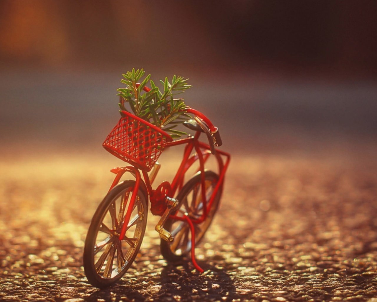 Обои корзина, растение, велосипед, фигурка, basket, plant, bike, figure разрешение 1920x1200 Загрузить