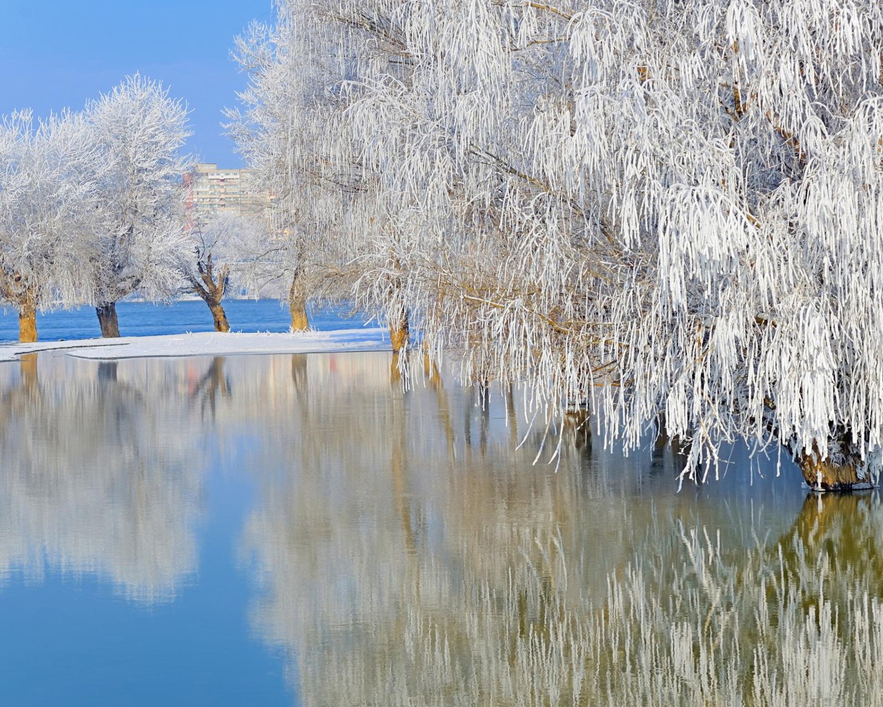 Обои деревья, ordache, озеро, природа, зима, отражение, пейзаж, иней, ивы, trees, lake, nature, winter, reflection, landscape, frost, willow разрешение 1920x1200 Загрузить