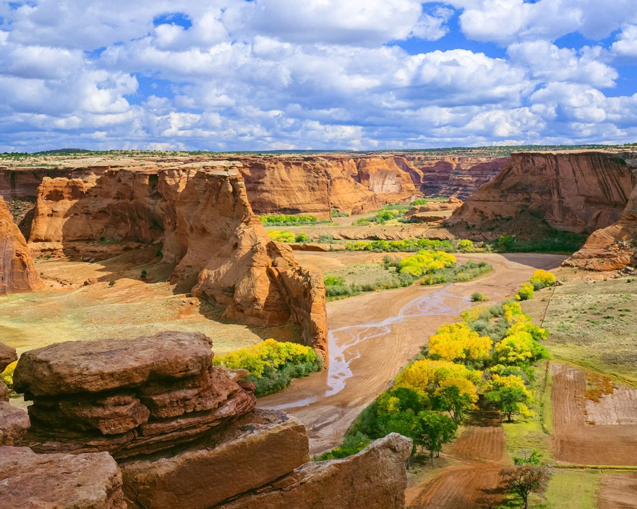 Обои небо, цветы, облака, скалы, пейзаж, каньон, de chelly, the sky, flowers, clouds, rocks, landscape, canyon разрешение 3840x2160 Загрузить