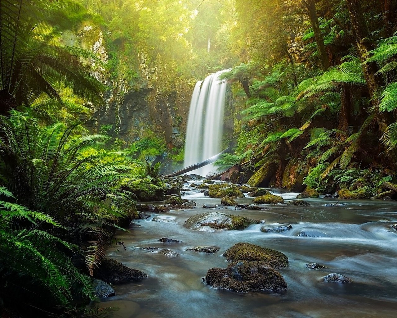 Обои река, great otway national park, hopetoun falls, природа, лес, водопад, австралия, папоротник, виктория, the otways, aire river, river, nature, forest, waterfall, australia, fern, victoria разрешение 1920x1080 Загрузить