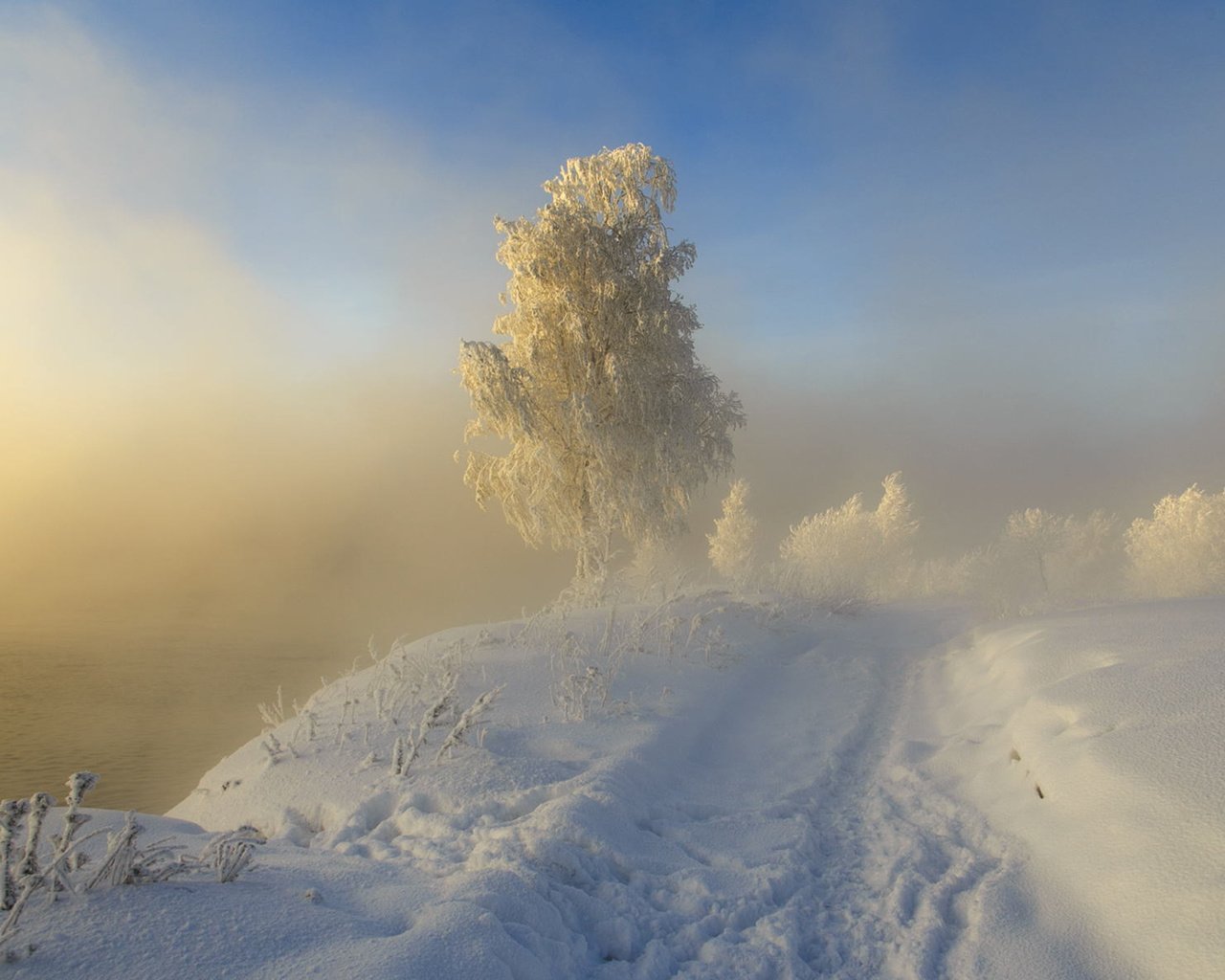 Обои дорога, следы, снег, sergeo, природа, дерево, зима, пейзаж, туман, иней, road, traces, snow, nature, tree, winter, landscape, fog, frost разрешение 1920x1200 Загрузить