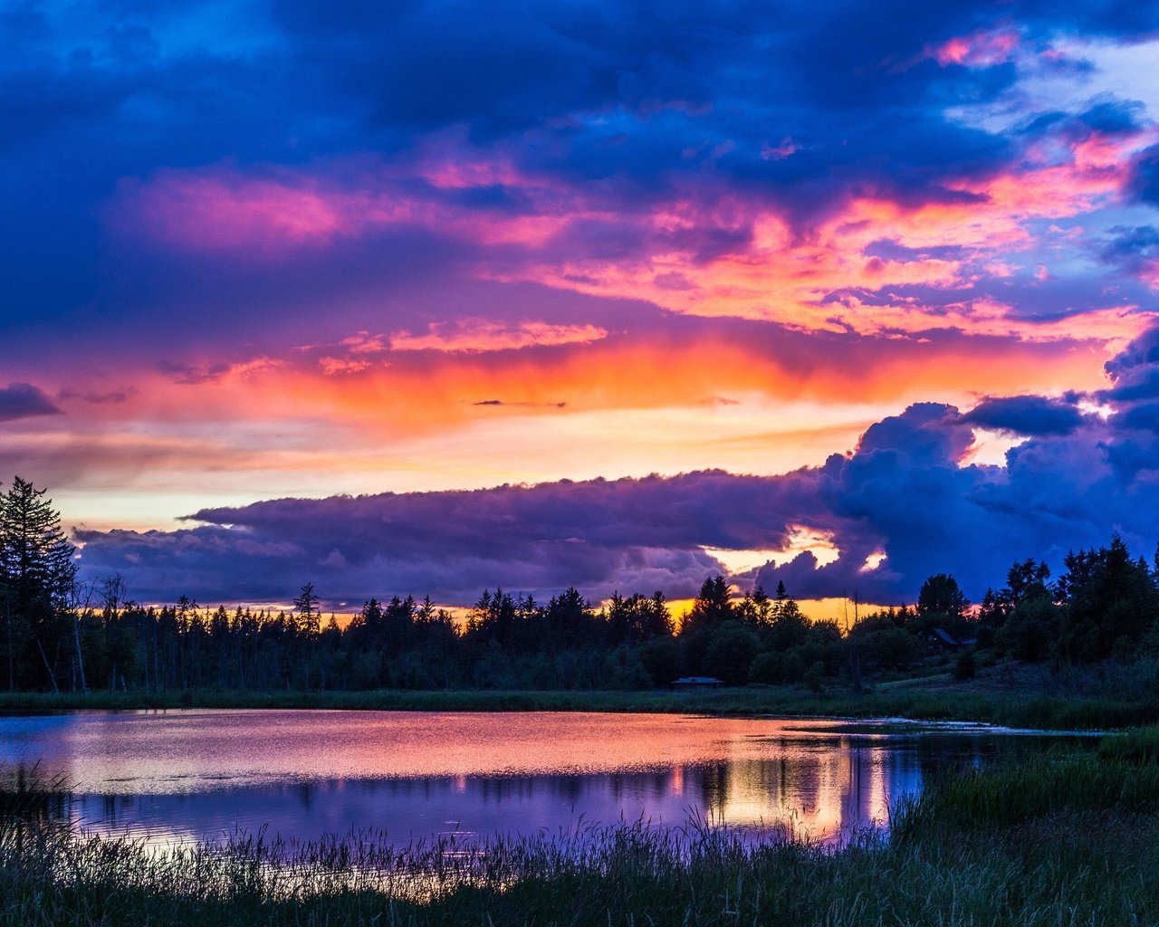 Обои деревья, вечер, озеро, природа, закат, пейзаж, небо облака, trees, the evening, lake, nature, sunset, landscape, sky clouds разрешение 3840x2160 Загрузить