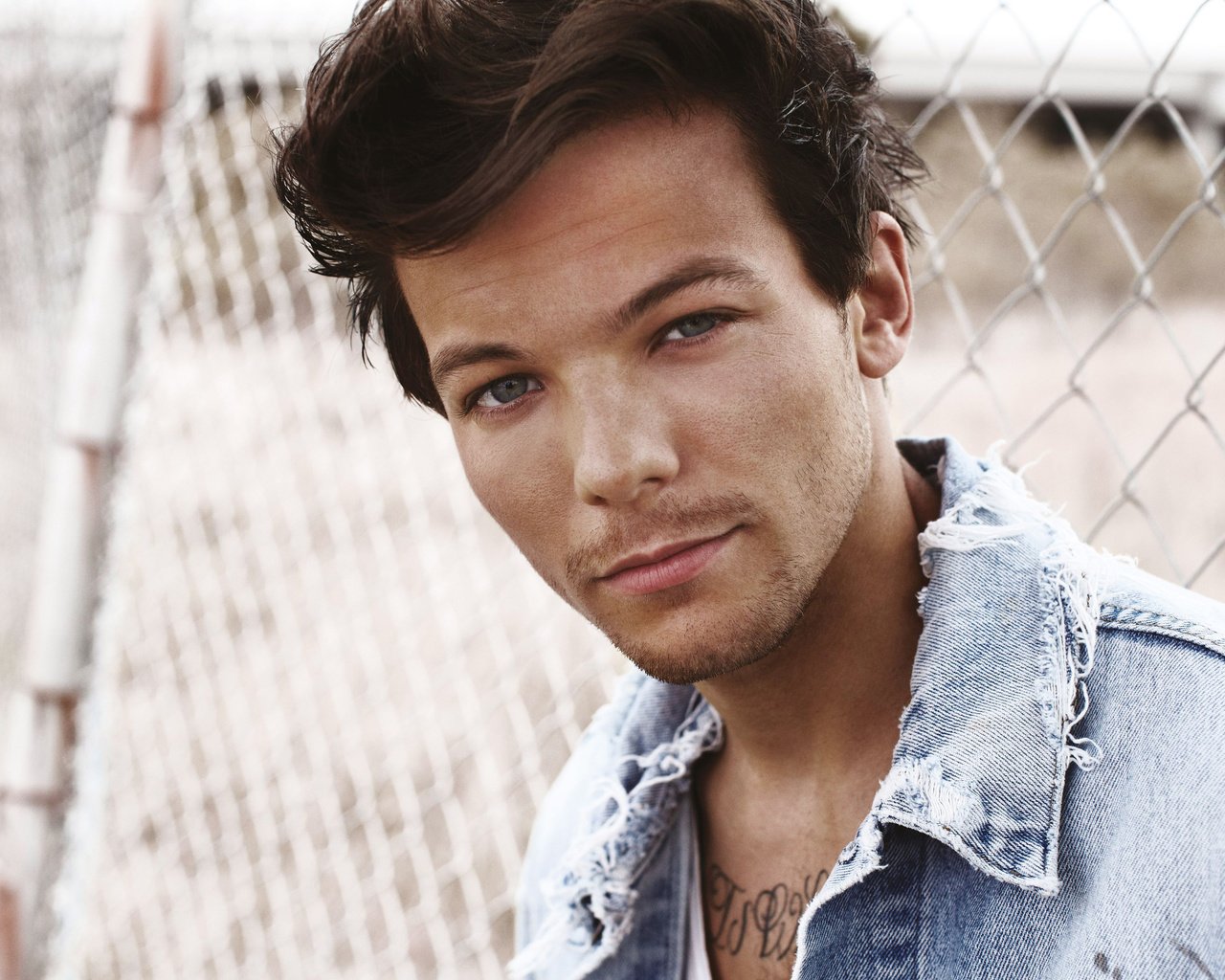 Обои портрет, взгляд, лицо, певец, рубашка, луи томлинсон, portrait, look, face, singer, shirt, louis tomlinson разрешение 3840x2400 Загрузить